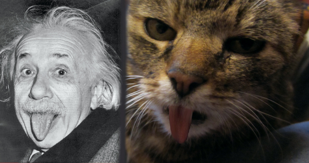 Anderes: Der Einstein Nachfolger 1