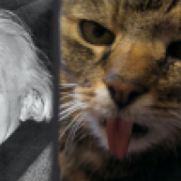 Der Einstein Nachfolger