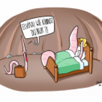 Wurmliebe