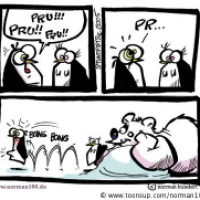 Geiler Pinguin...