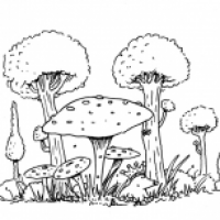 Zeichnungen einzelner Künstler Bosener Mühle