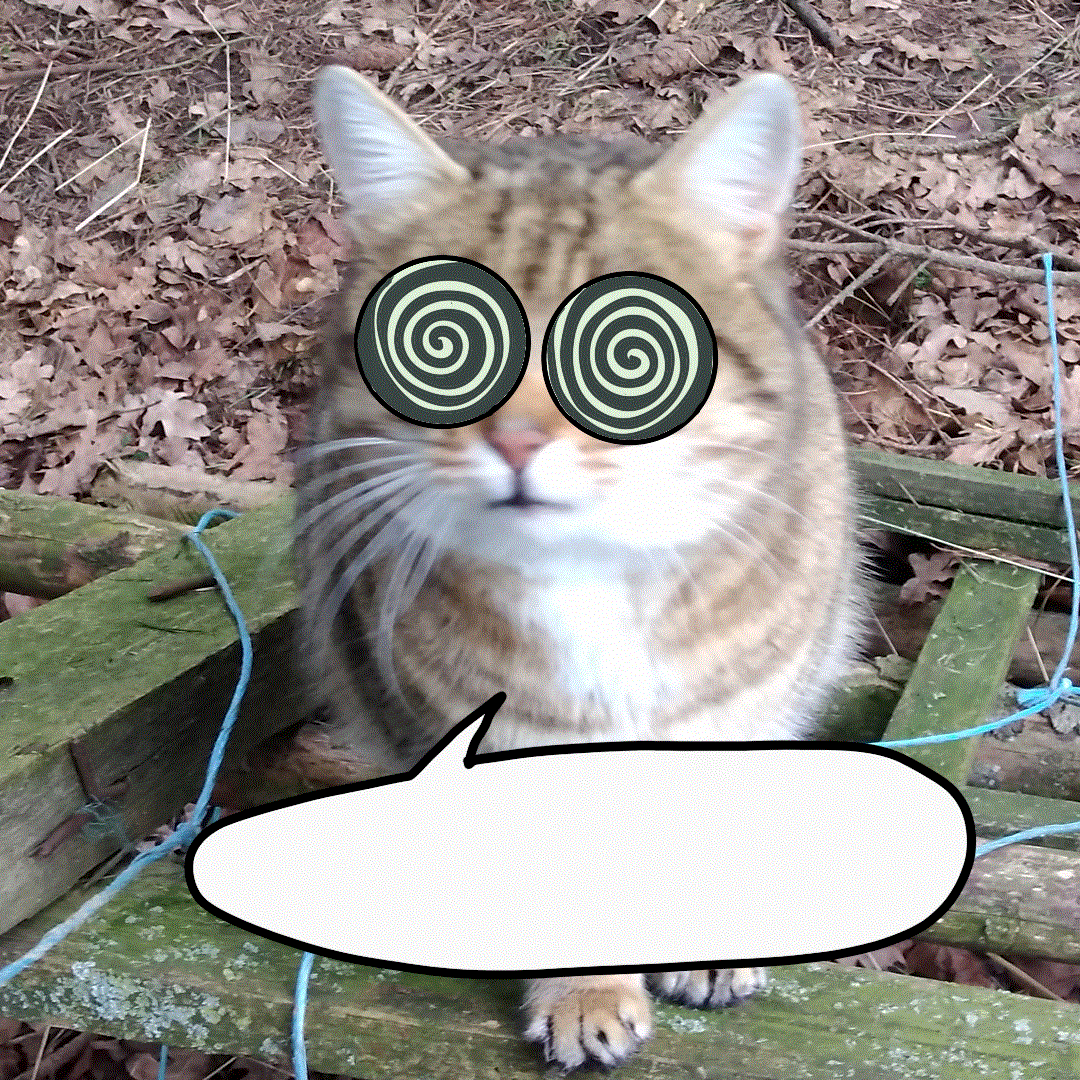 Animation: hypno cat 1