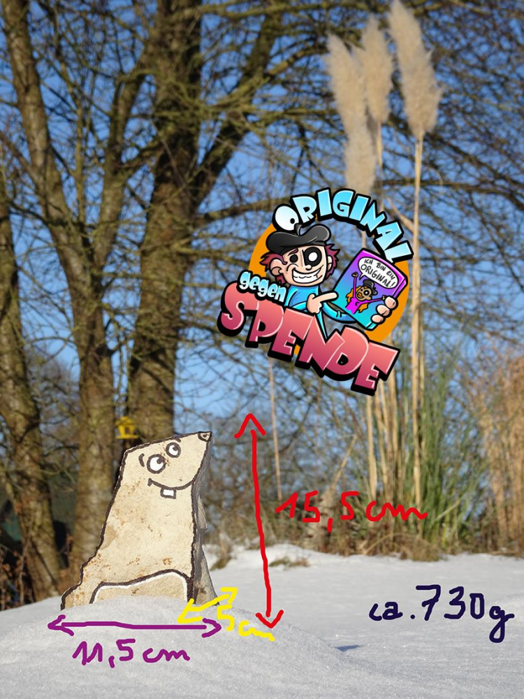 Anderes: Schneemaulwurf 1