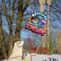 Schneemaulwurf