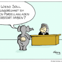 vor Gericht