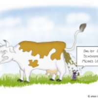 Schönster Tag