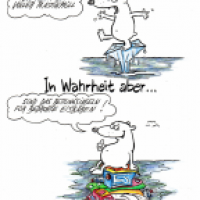 Der Optimist