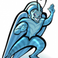 Cricket