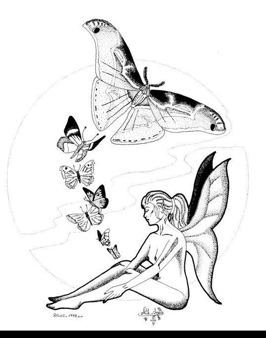 Illustration: Schmetterlingselfe 1