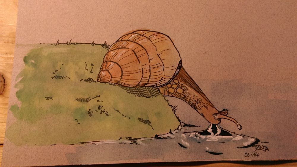 Other: trinkende Schnecke 1
