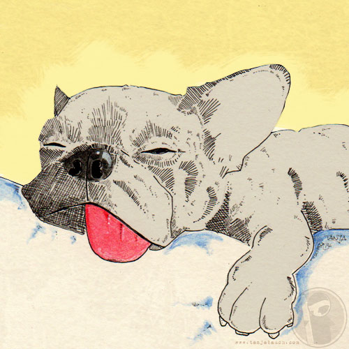 Illustration: .. schlapper Hund 1