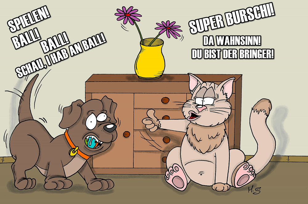 Cartoon: Super Burschi 1