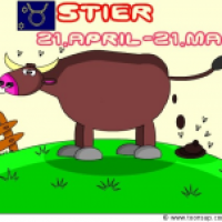Sternzeichen Stier
