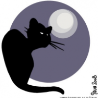 Katze