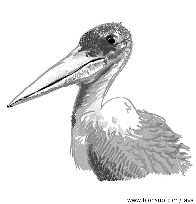 Illustration: Marabu 1