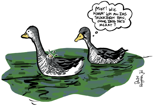 Cartoon: Entenfütterung 1