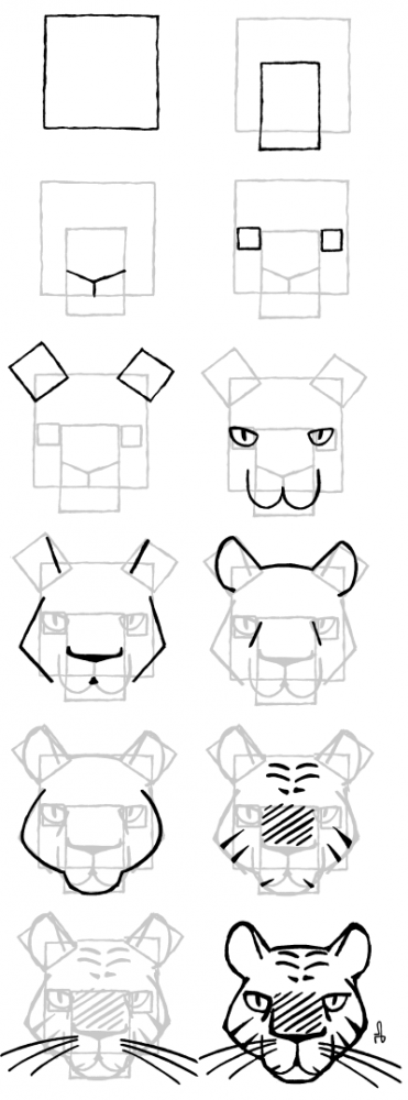 Illustration: Tiger malen 1