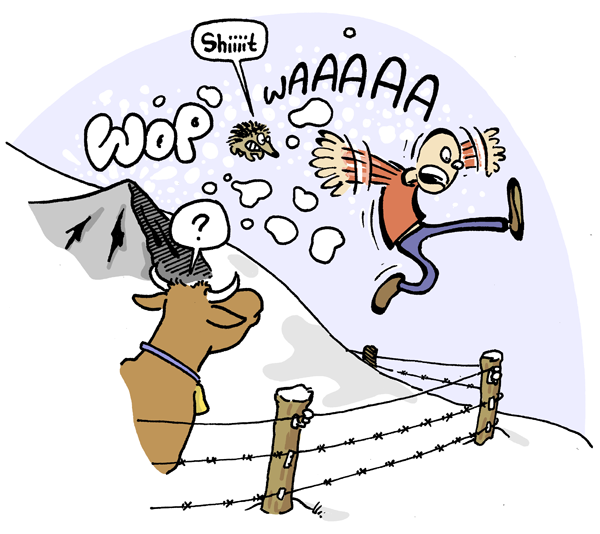 Cartoon: Frühlingsrolle 3
