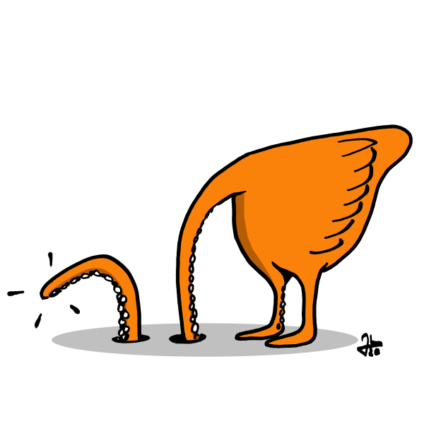 Illustration: Oistripus 1