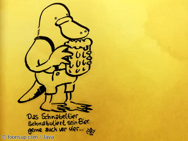 Cartoon: Signaturen vom CSE 1
