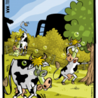 Farm für laktoseunverträgliche Kühe
