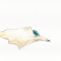 ? (3)