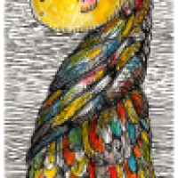 im bunten federkleid