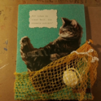 katzenweis'