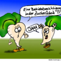 Von Zückerüben und Freizeitbeschäftigung