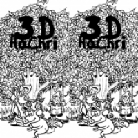 3-D Versuch