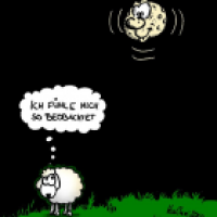 Unter Beobachtung