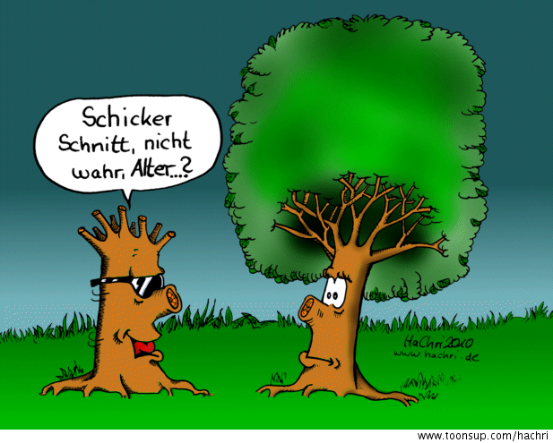 Cartoon: Schicker Schnitt 1