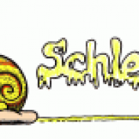 Schleimer