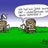 Umstellen