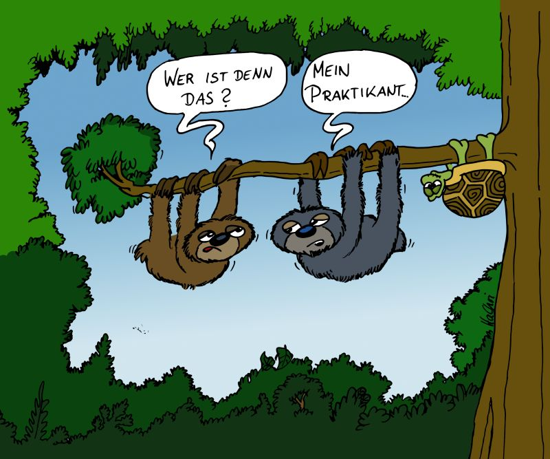 Cartoon: DerPraktikant 1