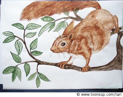 Concept Art / Character Design: Eichhörnchen 1
