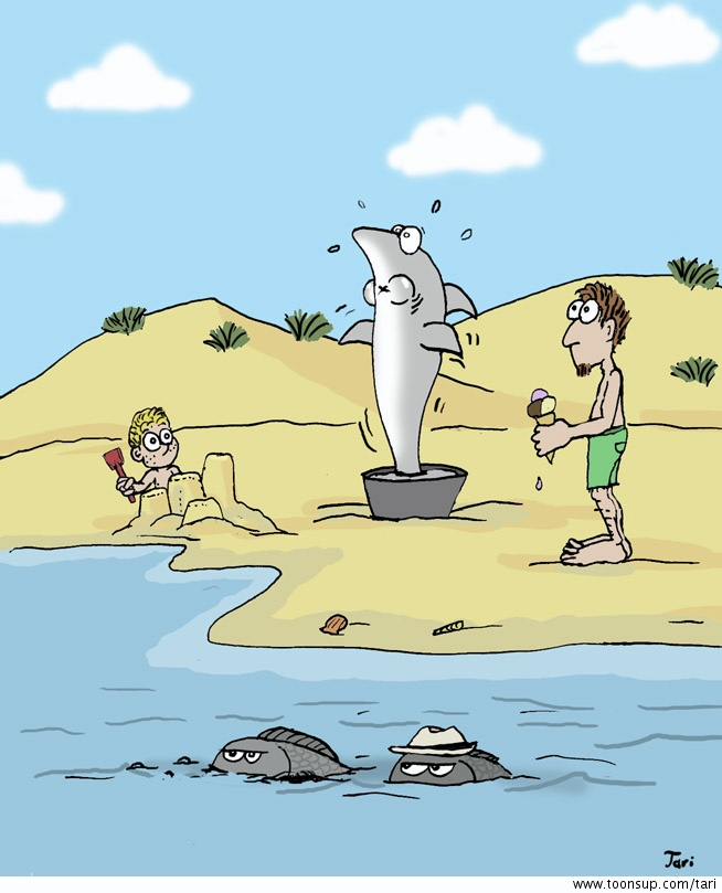 Cartoon: Hai 1