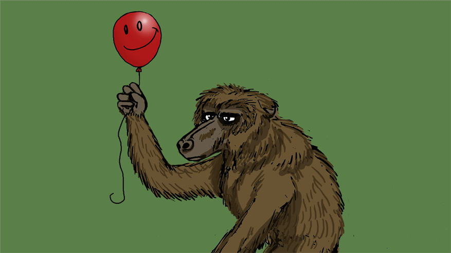 Animation: Baboon 1