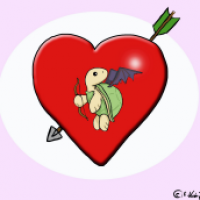valentins-turtle