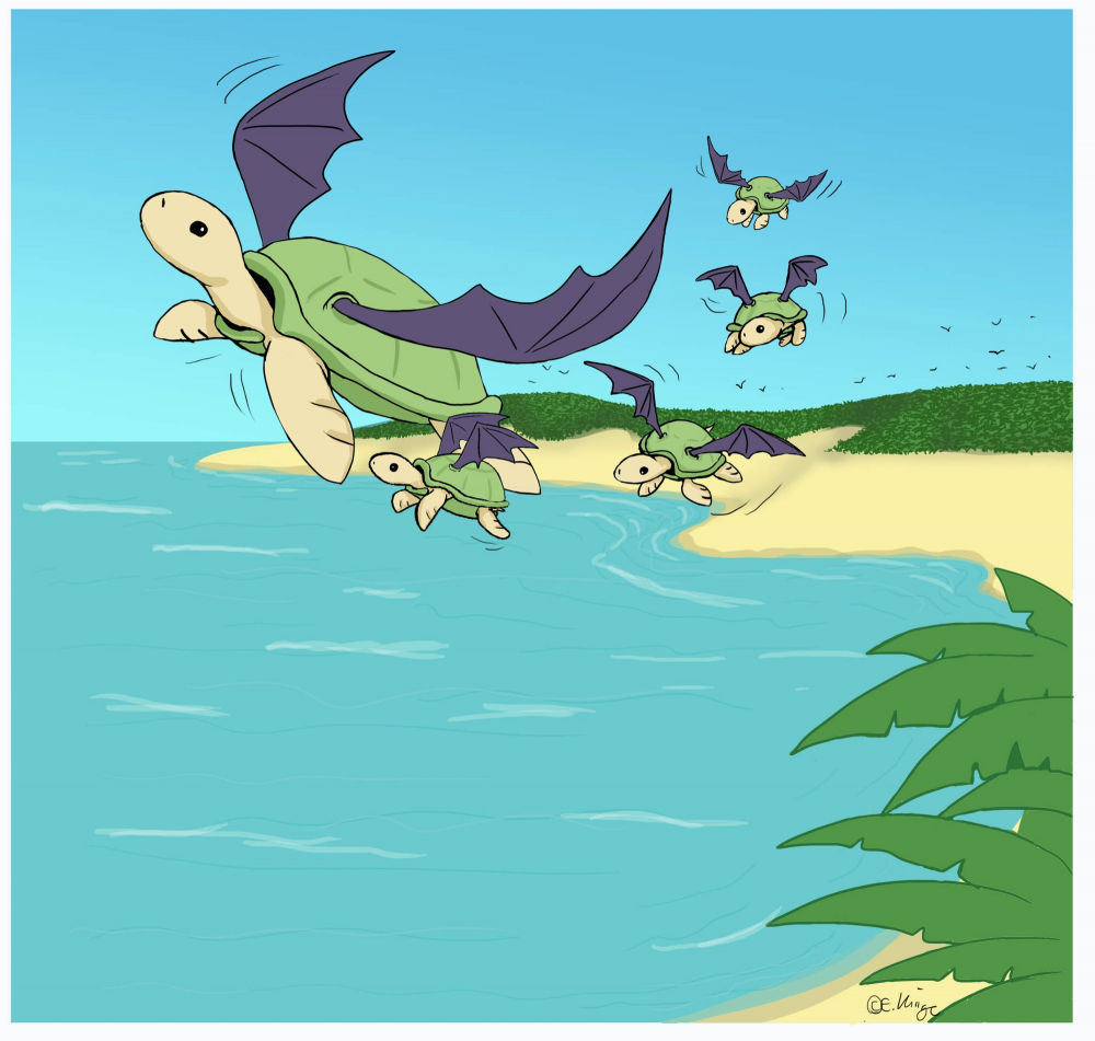 Cartoon: Turtle-summer 1