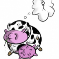 MOO!