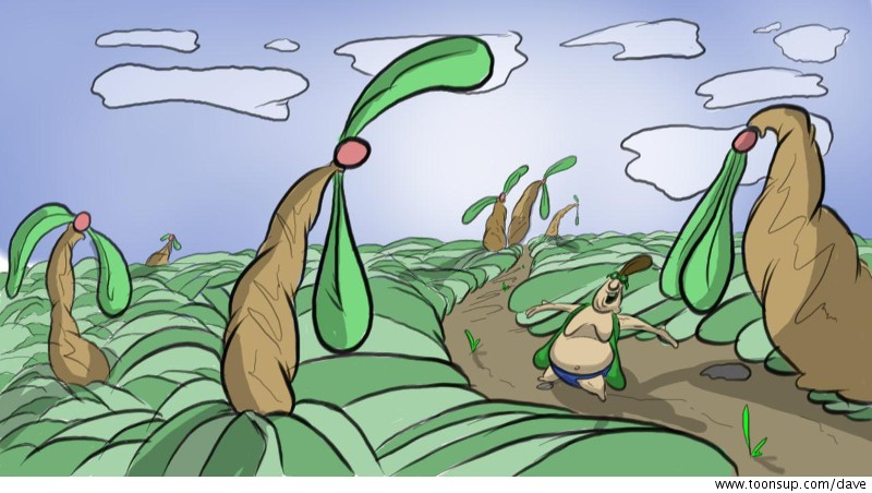 Cartoon: Rooted Land 1