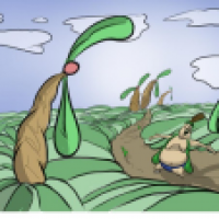 Rooted Land