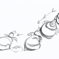 Anim Reel