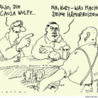 causa wulff