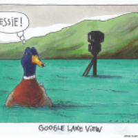 lake view