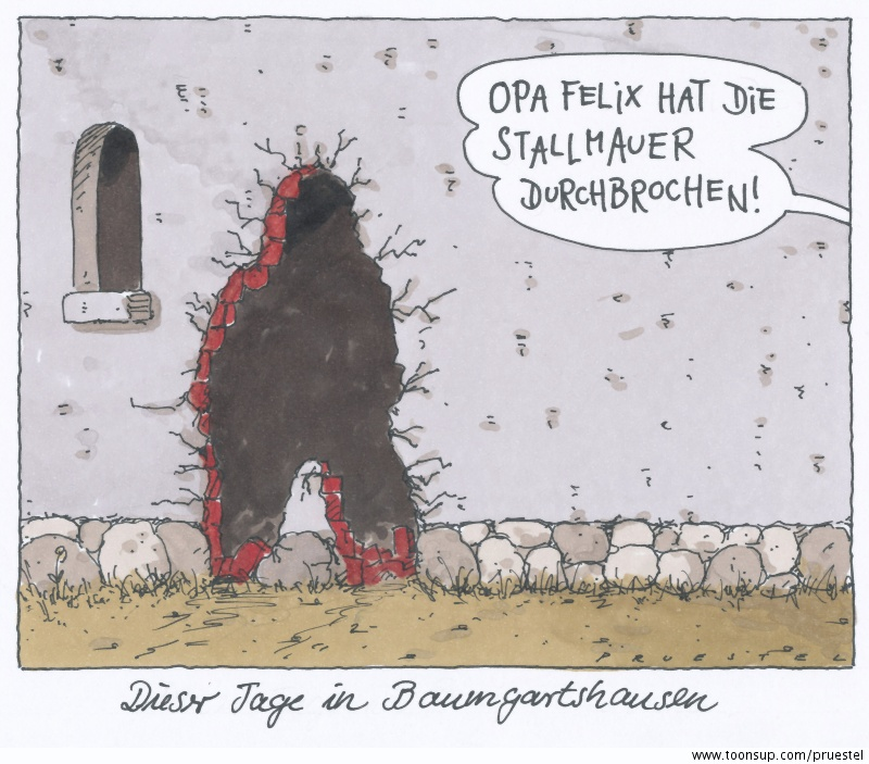Cartoon: baumgartner 1