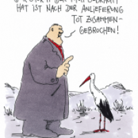 storch