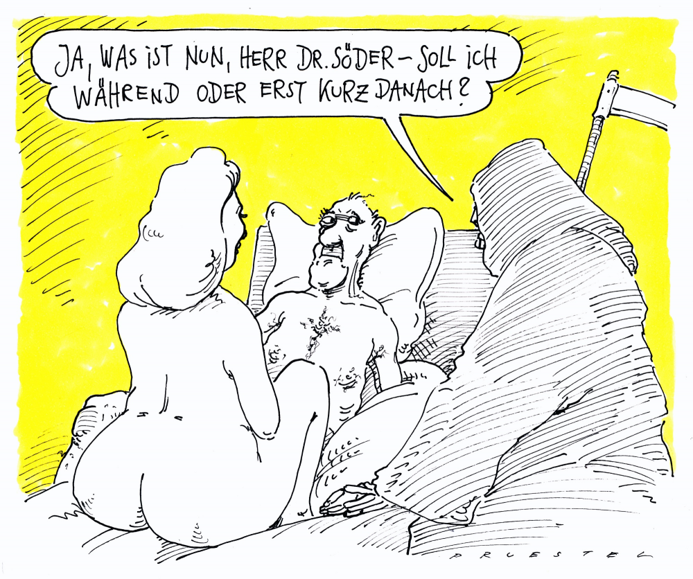 Cartoon: letzte entscheidung 1