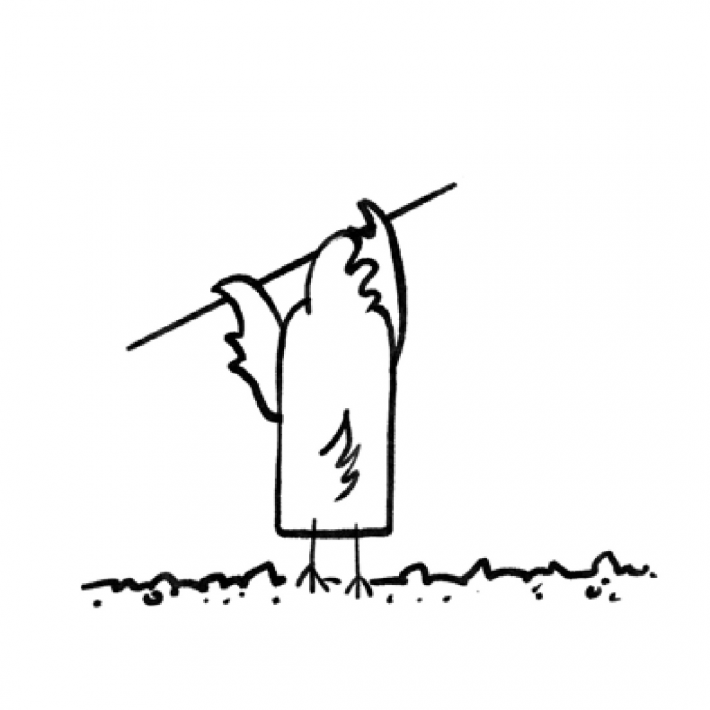 Comic: The Do it Yorself Chicken 4